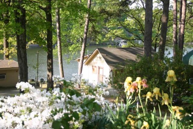 Edgewater Resort Cottage #1 ホット・スプリングス エクステリア 写真